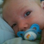 bebis