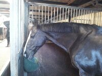 20120331_103941.jpg image