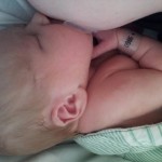 wpid 20130510 090257.jpg