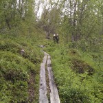 utstakad stig